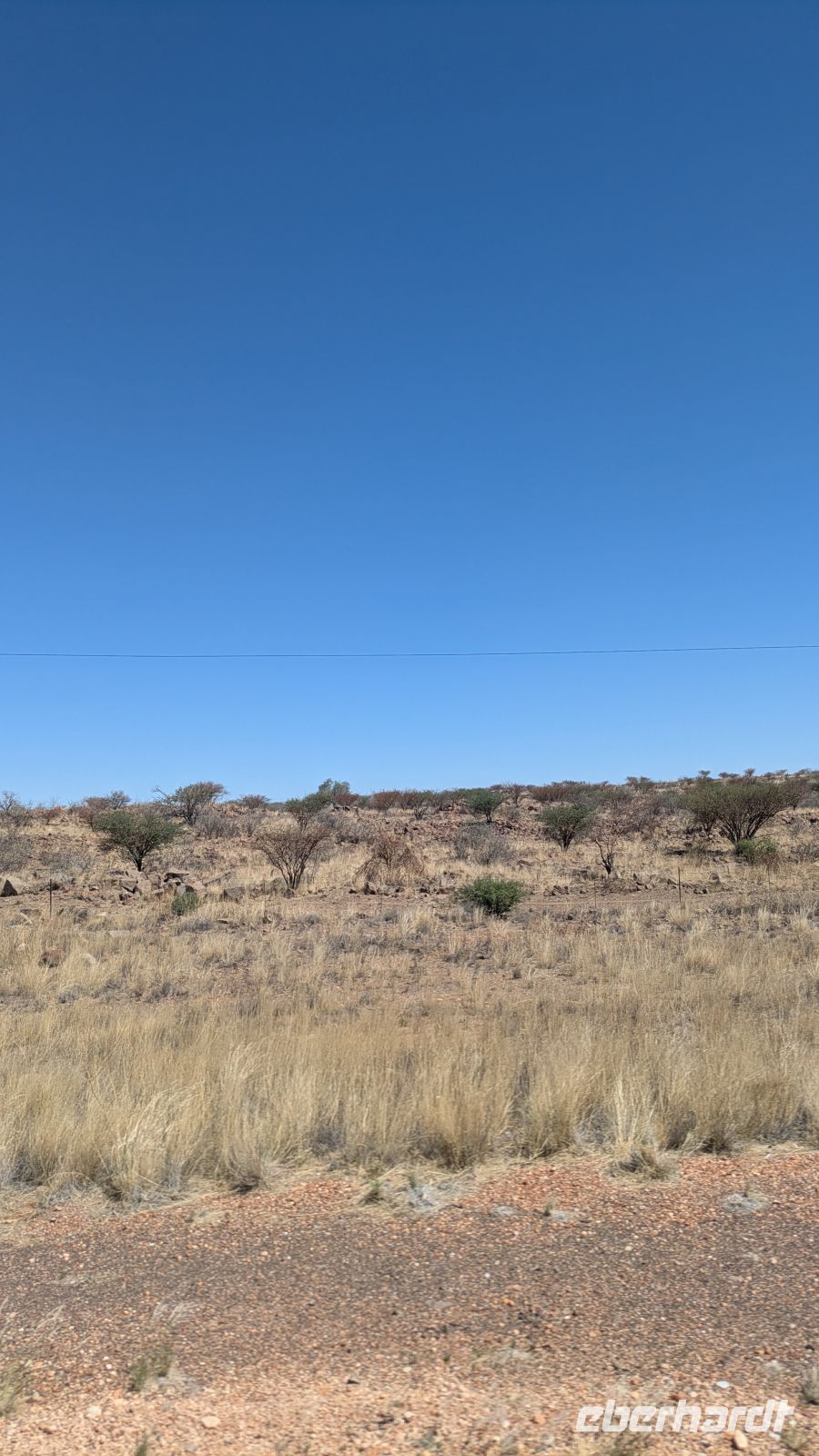 Landschaft Namibia, Akazienbäume