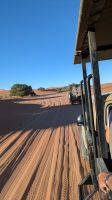 Fahrt zum Dead Vlei