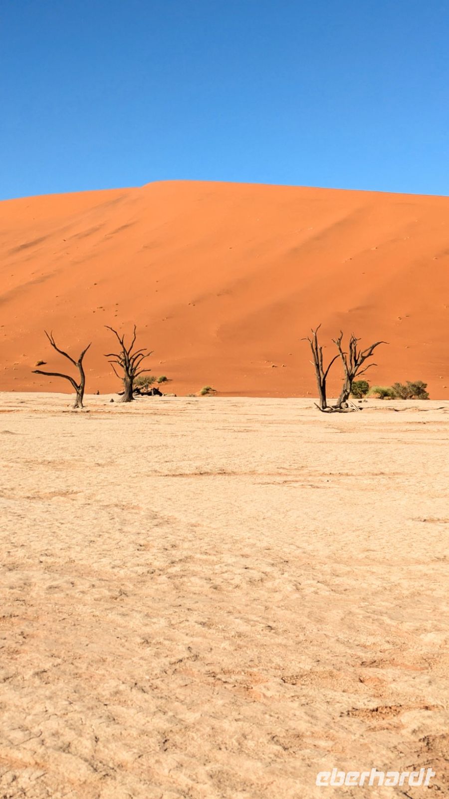 Dead Vlei