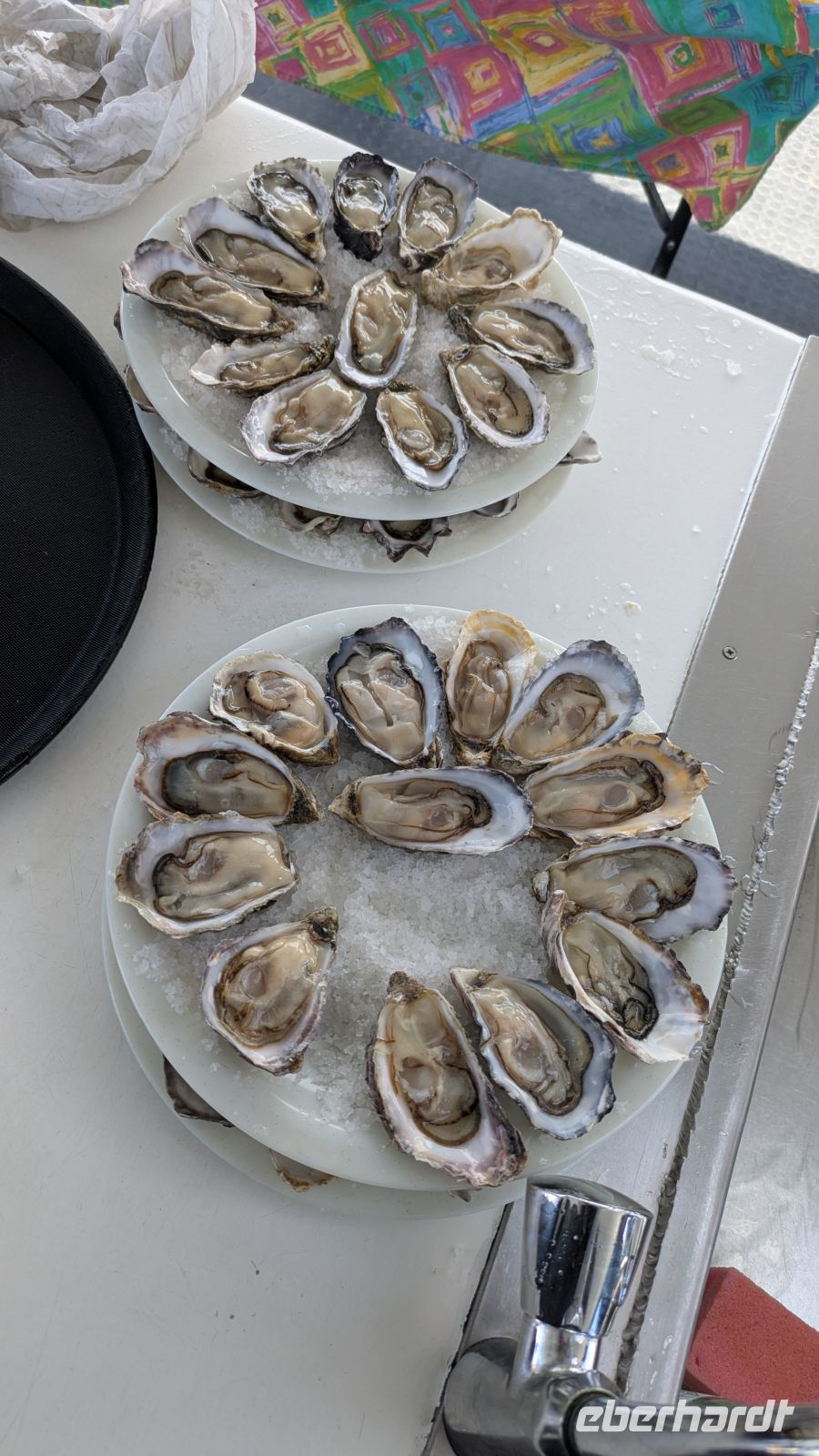 frische Austern, Bootsausflug, Walvis Bay