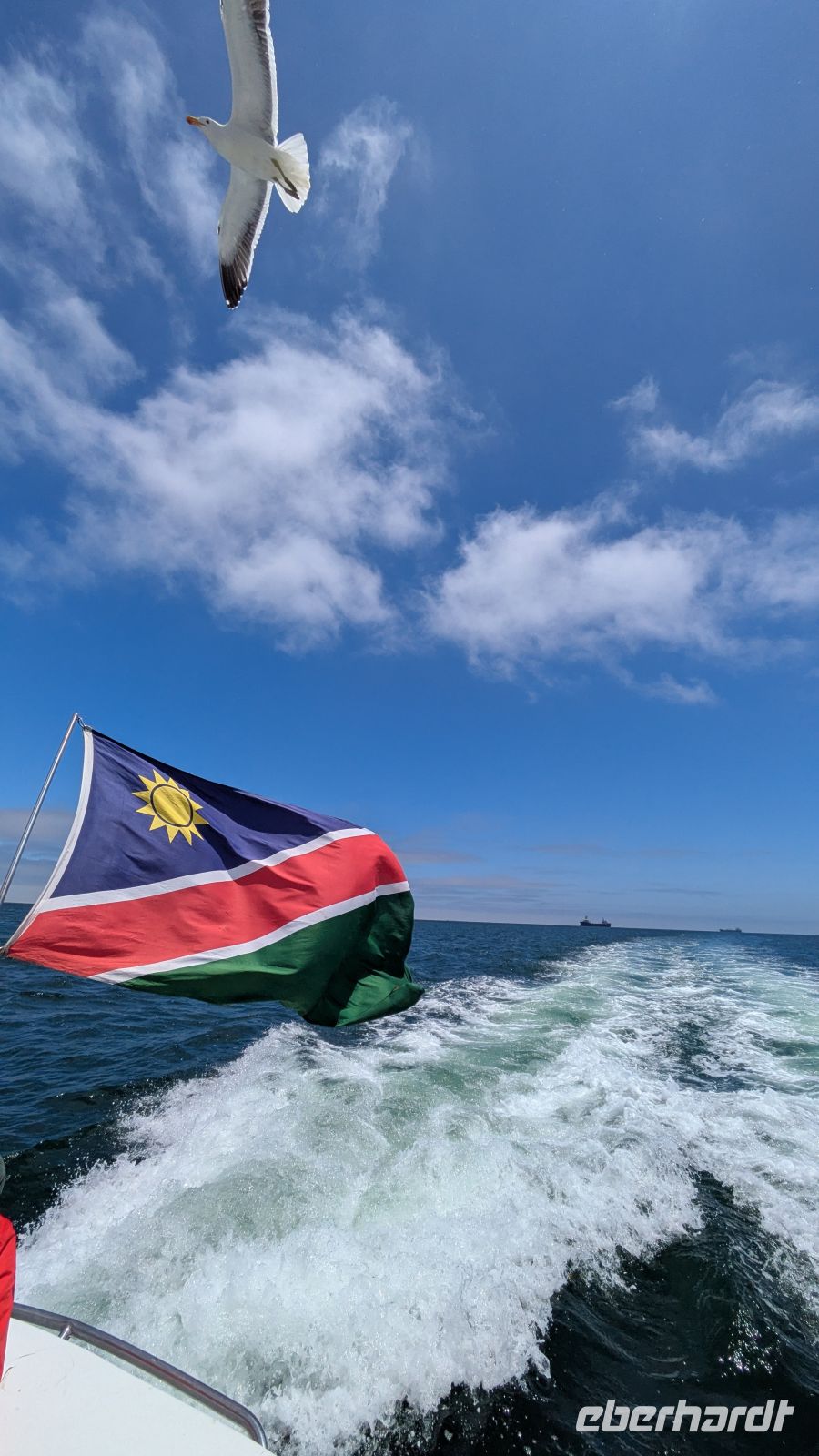 Bootsausflug, Walvis Bay