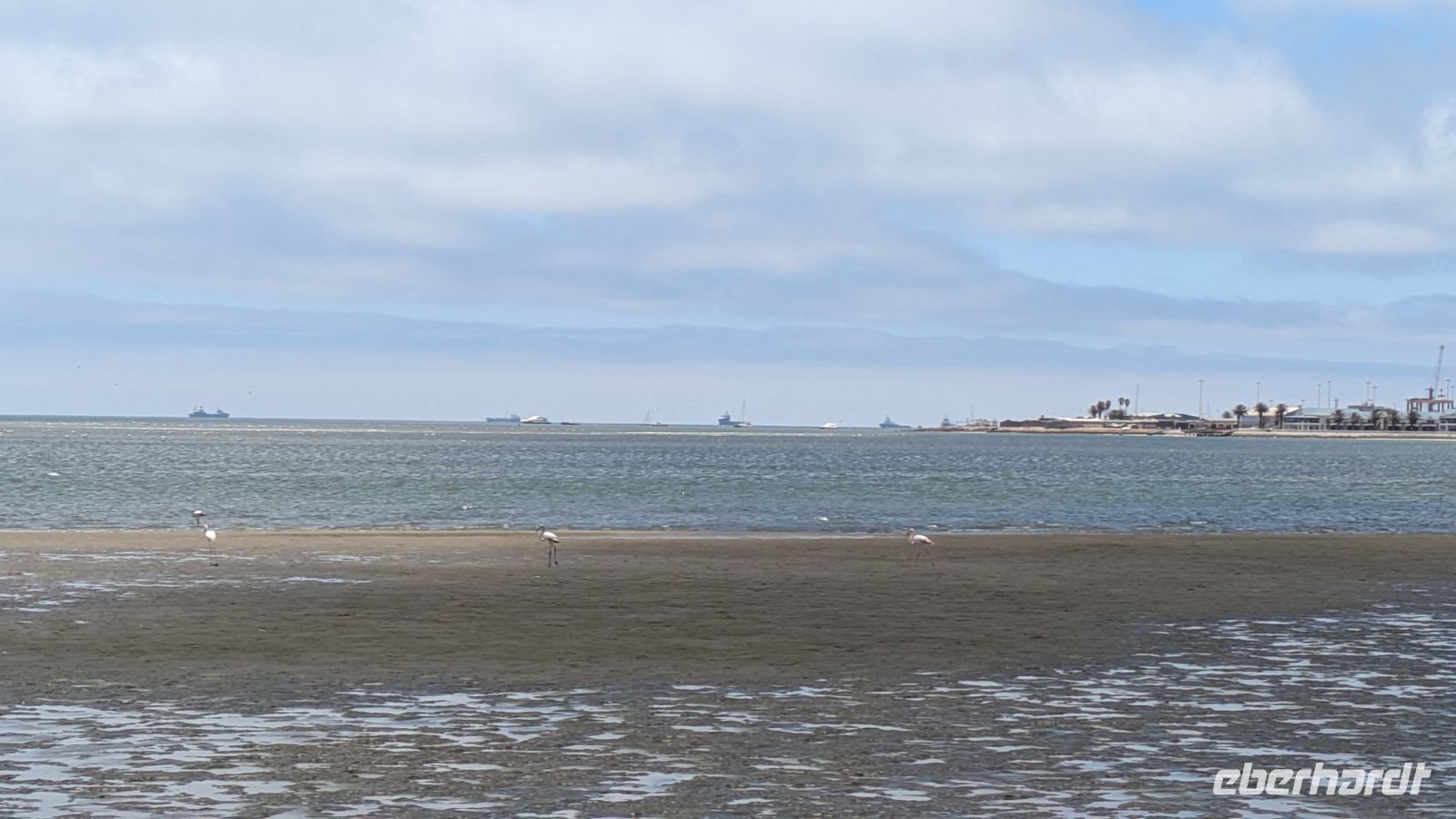 Flamingos am Strand, Walvis Bay