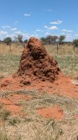 Termitenhügel