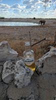 mit einem kühlem Getränk die Aussicht genießen, Etosha Nationalpark