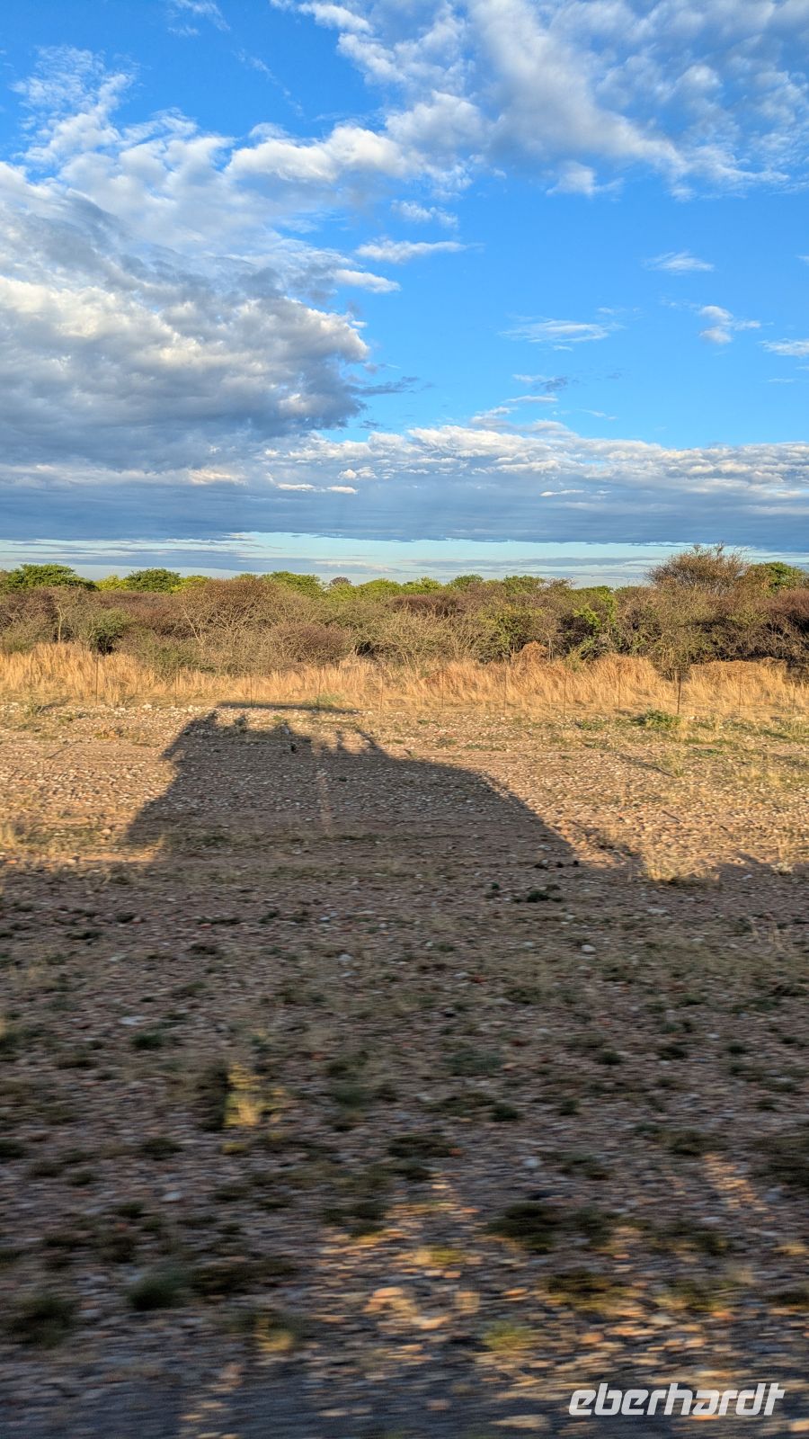Jeeptour, Etosha Nationalpark