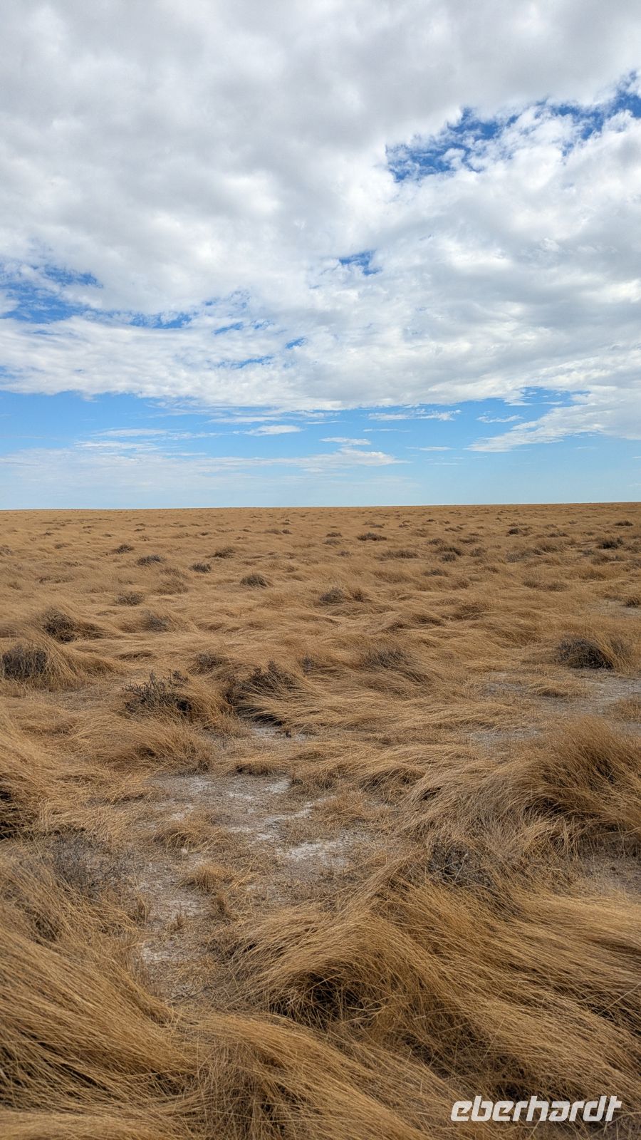 Landschaft, Etosha Nationalpark