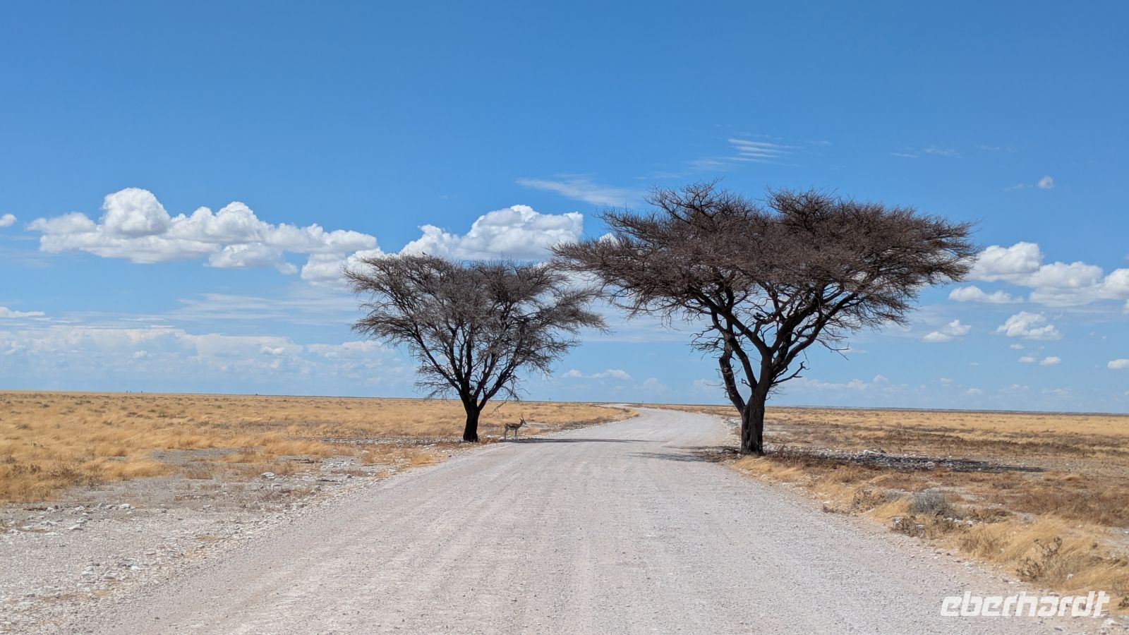 Etosha Nationalpark