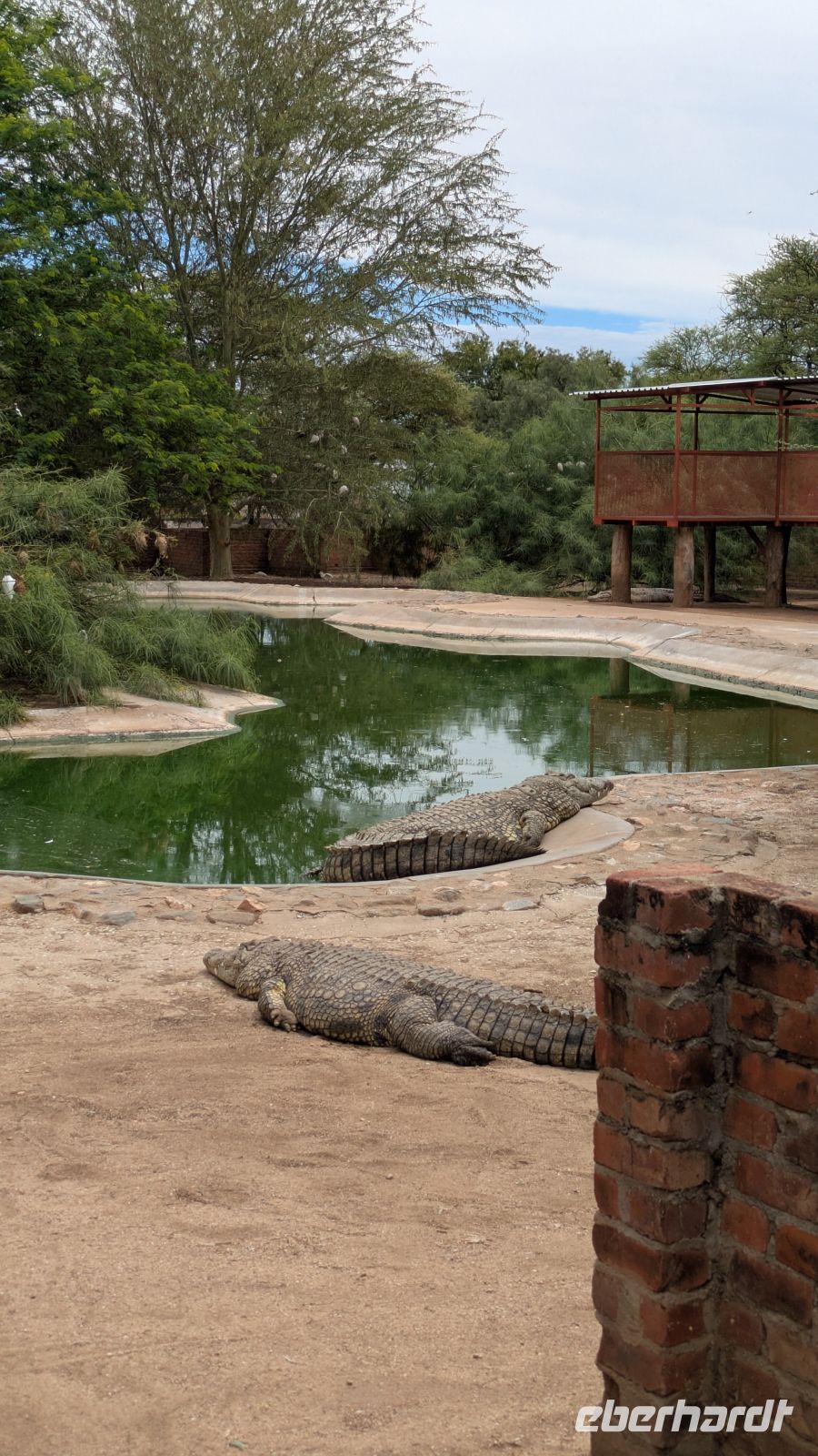 Krokodil Farm Otjiwarongo