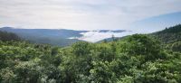 243 Ausblick Misty Mountain Lodge am Morgen
