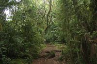 Wanderung zum Mandara Hut