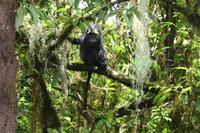 Rückweg vom Mandara Hut