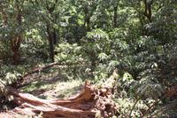 Im Lake Manyara Nationalpark