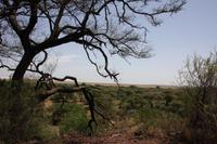 Im Lake Manyara Nationalpark