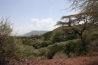 Im Lake Manyara Nationalpark