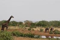 Im Lake Manyara Nationalpark