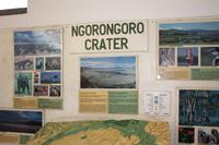 Ngorongoro Crater