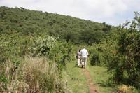 Aufstieg zum Olmoti-Krater