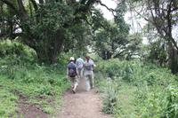 Abstieg vom Olmoti-Krater