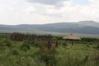 Bomas - typische Unterkünfte der Massai