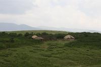 Bomas - typische Unterkünfte der Massai