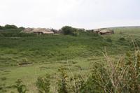 Bomas - typische Unterkünfte der Massai