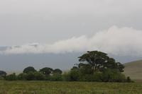 Im Ngorongoro Crater