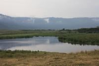 Im Ngorongoro Crater