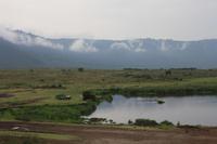 Hippo-Pool im Ngorongoro Crater