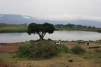 Im Ngorongoro Crater
