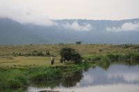 Im Ngorongoro Crater