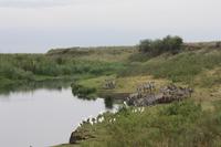 Im Ngorongoro Crater