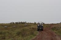 Im Ngorongoro Crater