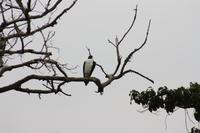 Im Ngorongoro Crater