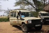 Unsere Jeeps während der Safari