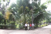 Botanischer Garten Dar-es-Salaam