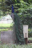 Im Botanischen Garten