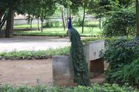 Im Botanischen Garten