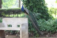 Im Botanischen Garten