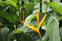 Im Botanischen Garten