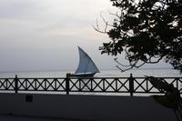 Blick von unserem Hotel Serena in Stone Town