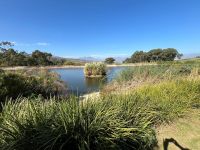 Südafrika - Stellenbosch - Weingut Jordan &ndash; &copy; Annett Müller (Eberhardt TRAVEL)