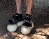 Südafrika - Oudtshoorn - Straußenfarm - Test &ndash; &copy; Annett Müller (Eberhardt TRAVEL)