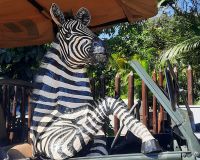 Südafrika - St. Lucia &ndash; &copy; Annett Müller (Eberhardt TRAVEL)