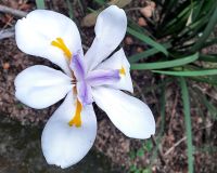 eSwatini - Pause bei Swazi Candle &ndash; &copy; Annett Müller (Eberhardt TRAVEL)