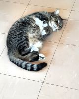 eSwatini - Ngwenya Glasfabrik &ndash; &copy; Annett Müller (Eberhardt TRAVEL)