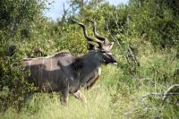 &copy; Annett Müller (Eberhardt TRAVEL)