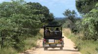 Südafrika - Kruger Nationalpark - Pirschfahrt &ndash; &copy; Annett Müller (Eberhardt TRAVEL)