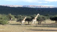 P1610474.JPG &ndash; &copy; Annett Müller (Eberhardt TRAVEL)