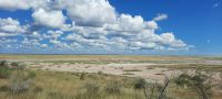 Namibia - Pirschfahrt Etosha &ndash; &copy; Annett Müller (Eberhardt TRAVEL)