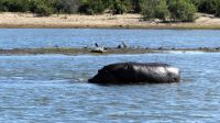 Namibia - Pirschfahrt im Mahango Nationalpark  &ndash; &copy; Annett Müller (Eberhardt TRAVEL)